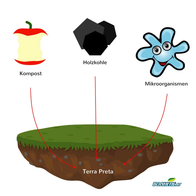 Produktbild transparente tüte holzkohle